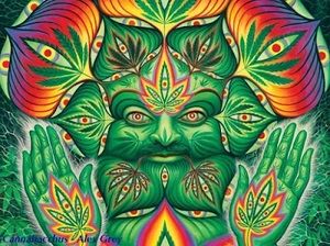 Meet your Posher, Pasache